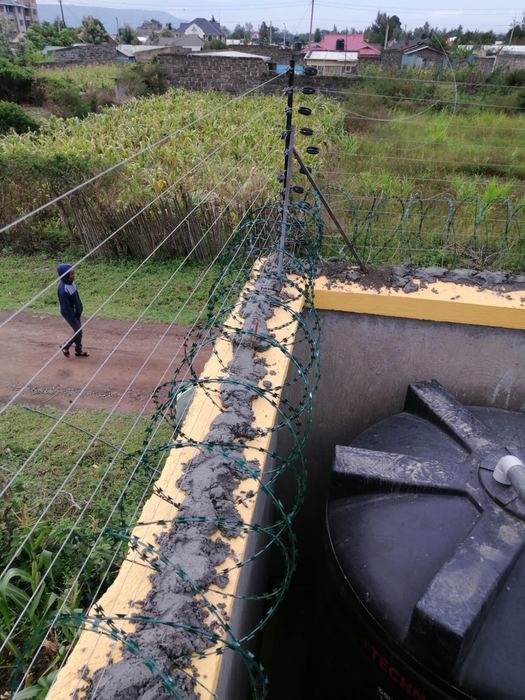 Electric fence with razor wire along a perimeter wall